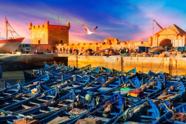 Escursione di un giorno a Essaouira da Marrakech