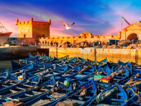 Escursione di un giorno a Essaouira da Marrakech