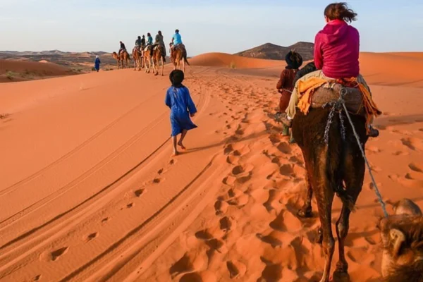 Tour nel Marocco: Deserto del Sahara, Kasbah e Valle del Draa