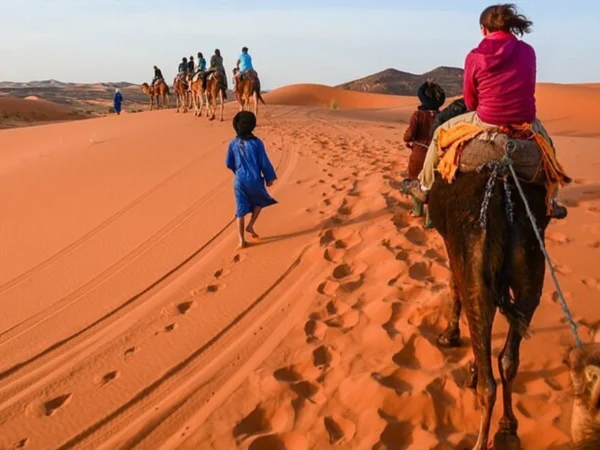 Tour nel Marocco: Deserto del Sahara, Kasbah e Valle del Draa